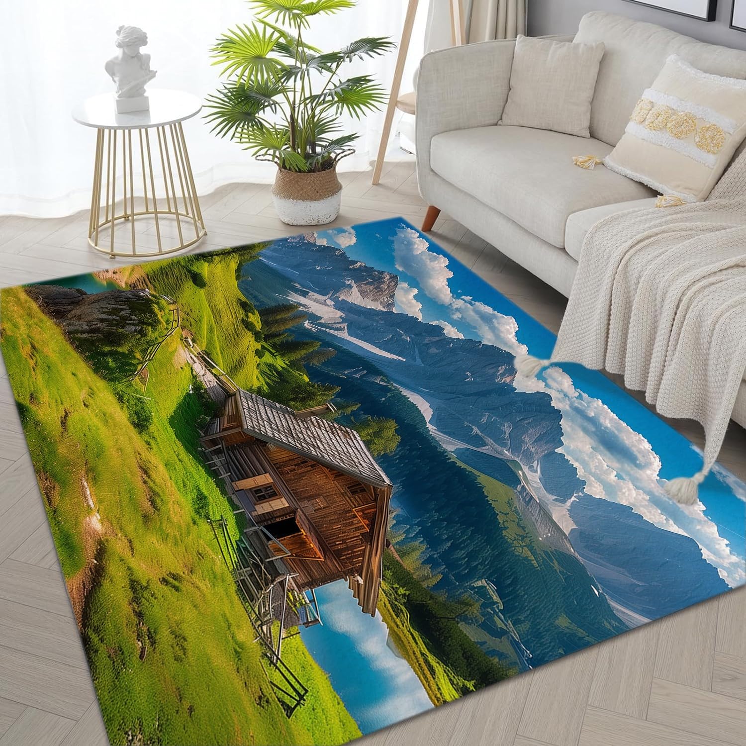 Amazon.com: Area Rugs 3ft x 5ft for Living Room - Area Rug